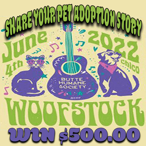 Woofstock 2022 500 Graphic